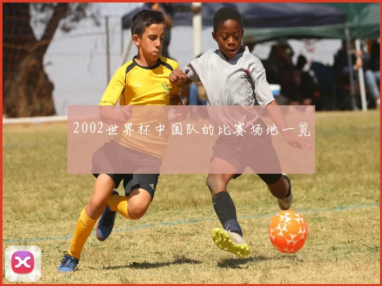 2002世界杯中国队的比赛场地一览