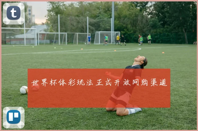 世界杯体彩玩法正式开放网购渠道