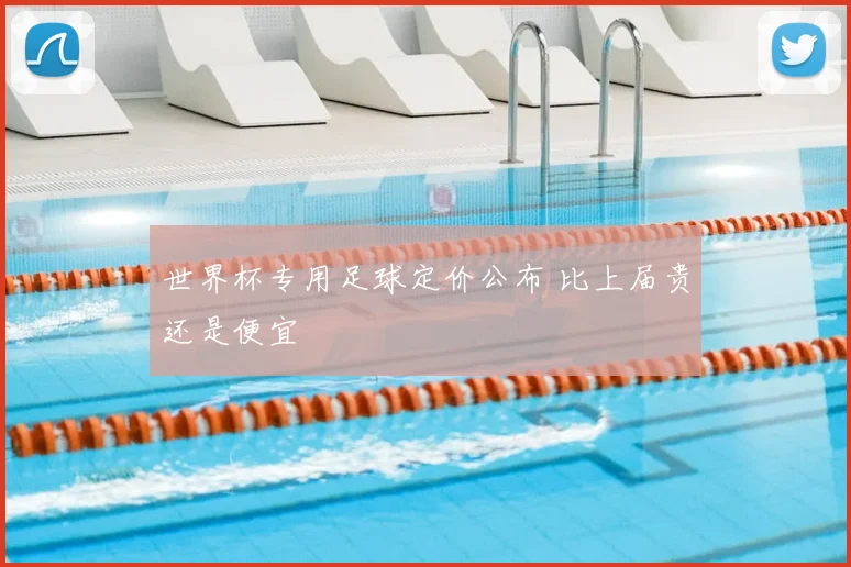 世界杯专用足球定价公布 比上届贵还是便宜