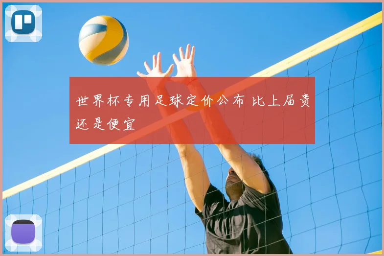 世界杯专用足球定价公布 比上届贵还是便宜